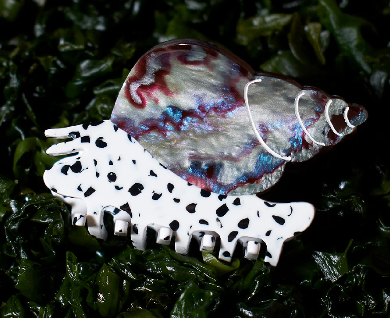 Winona Irene|Spotted Whelk Claw