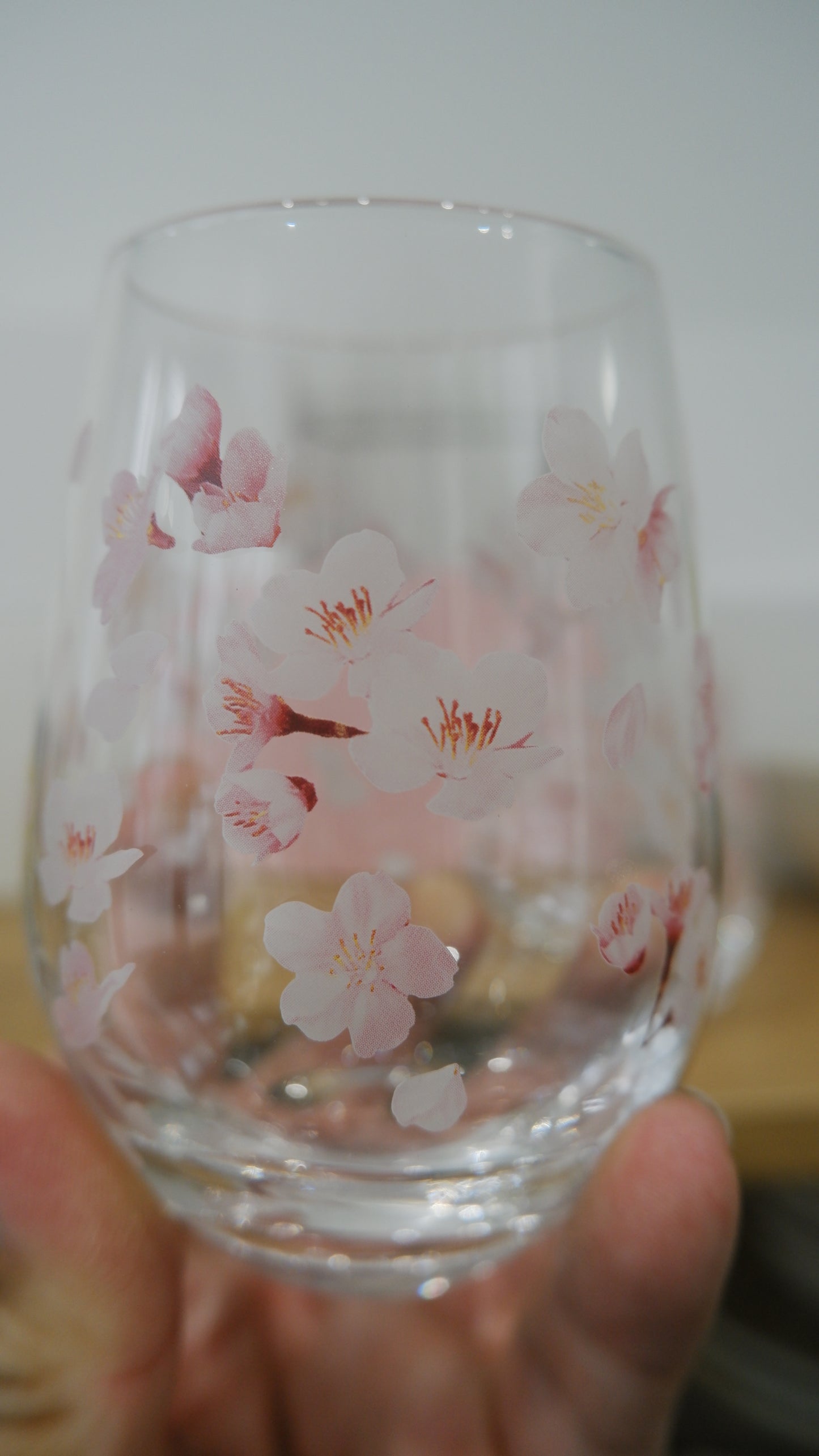 Hanafumi Pair Tumbler Set - Sakura Limoted Edition
