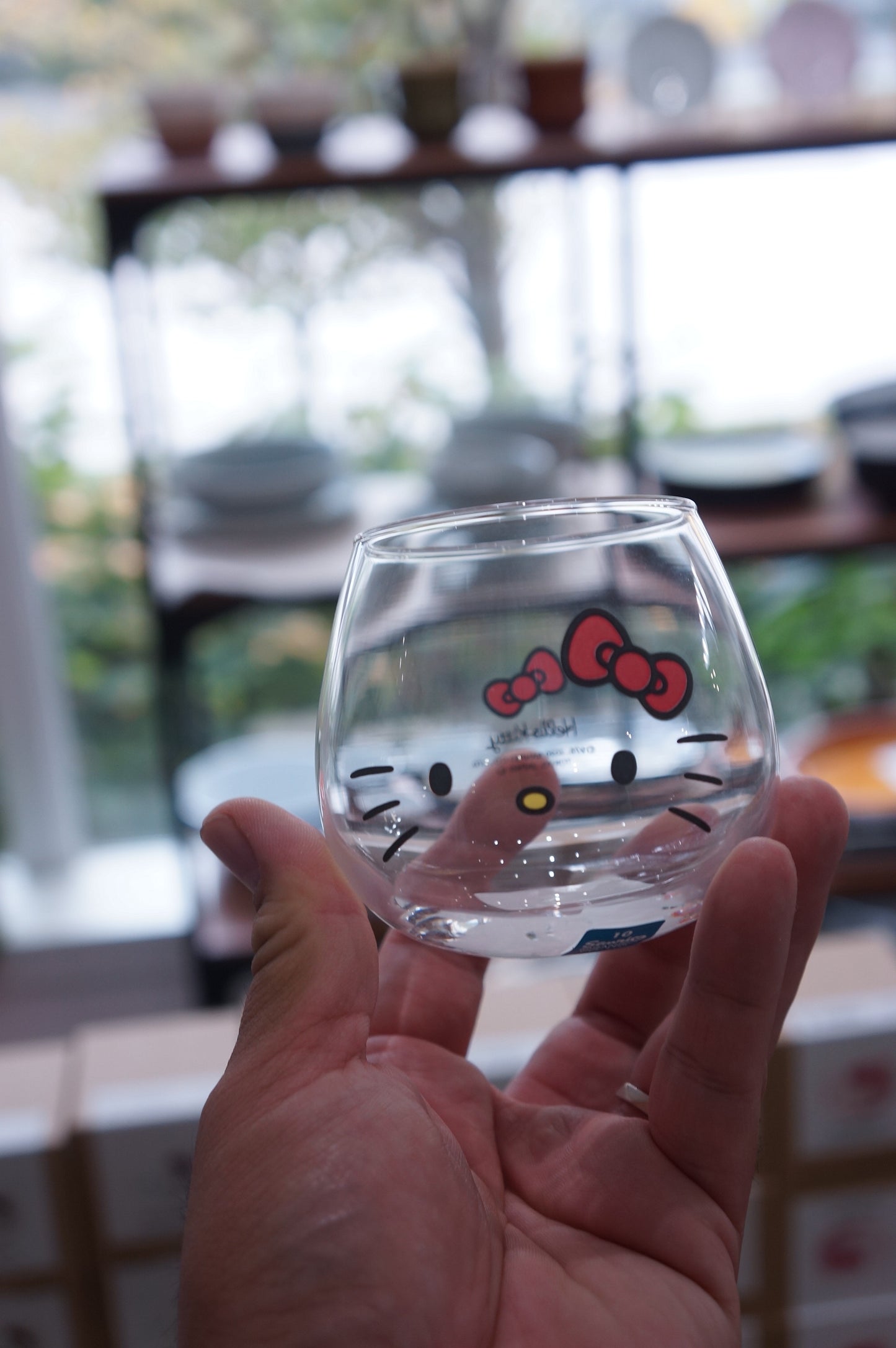 Cartoon Flaoting Tumbler - Hello Kitty