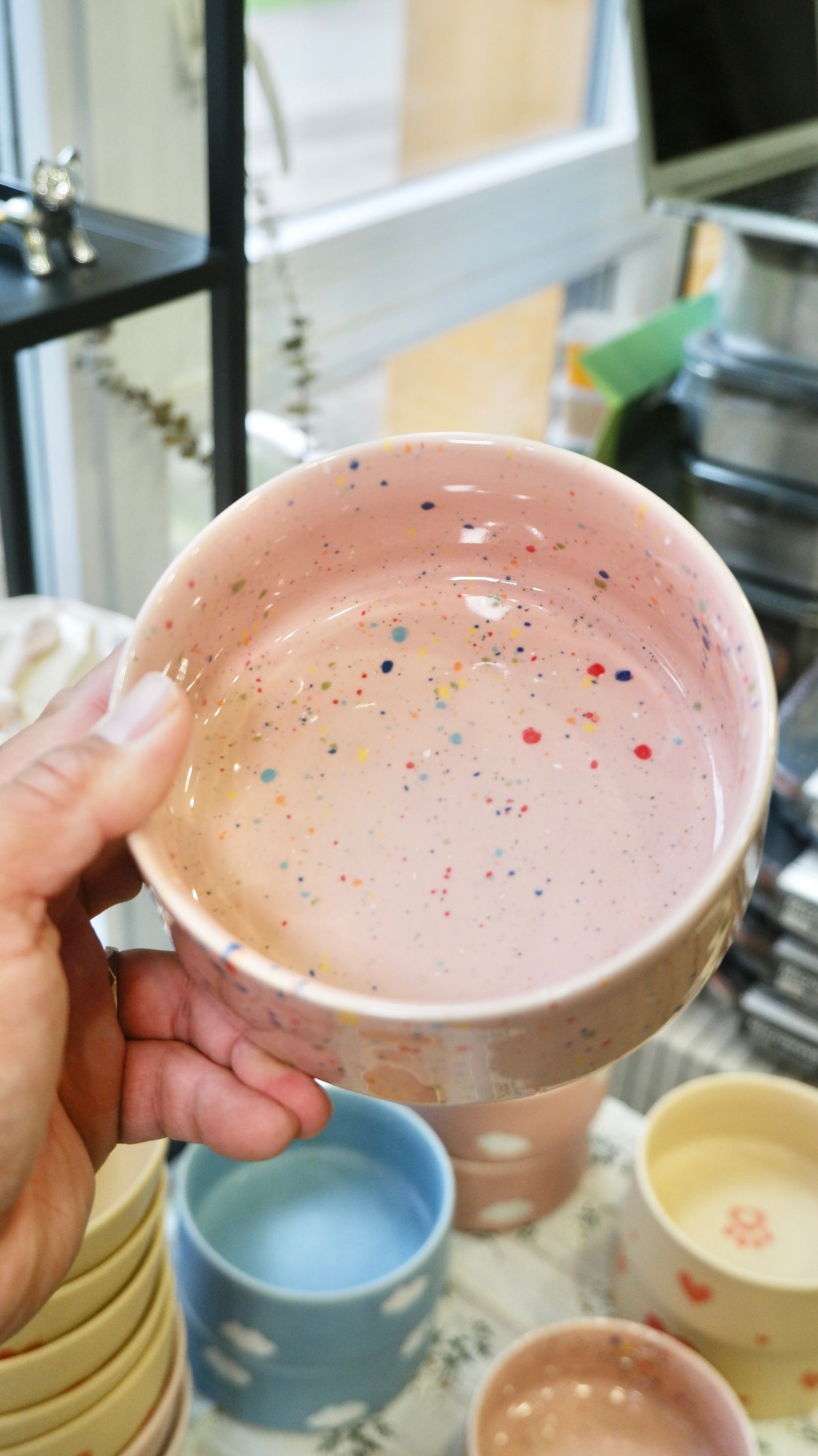 Egg Back Home|Pet Bowl New Party Pink