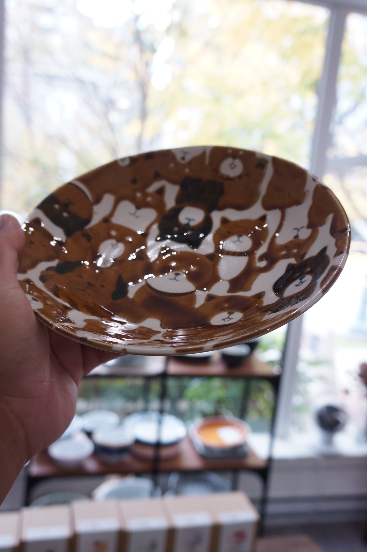 Ramen / Curry Bowl - Shiba