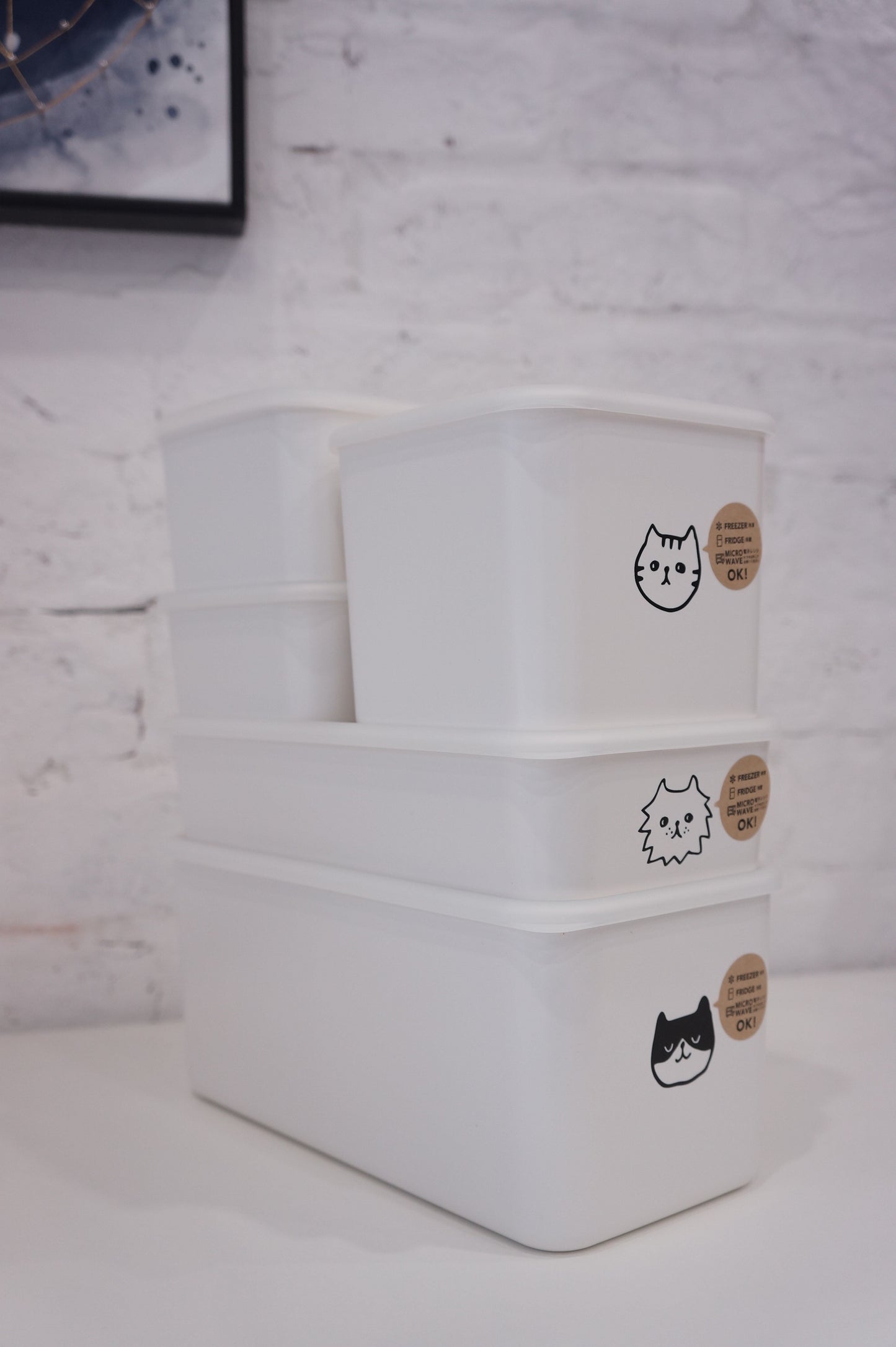 Japanese Storage Box | Cat Series | Large Toast Box