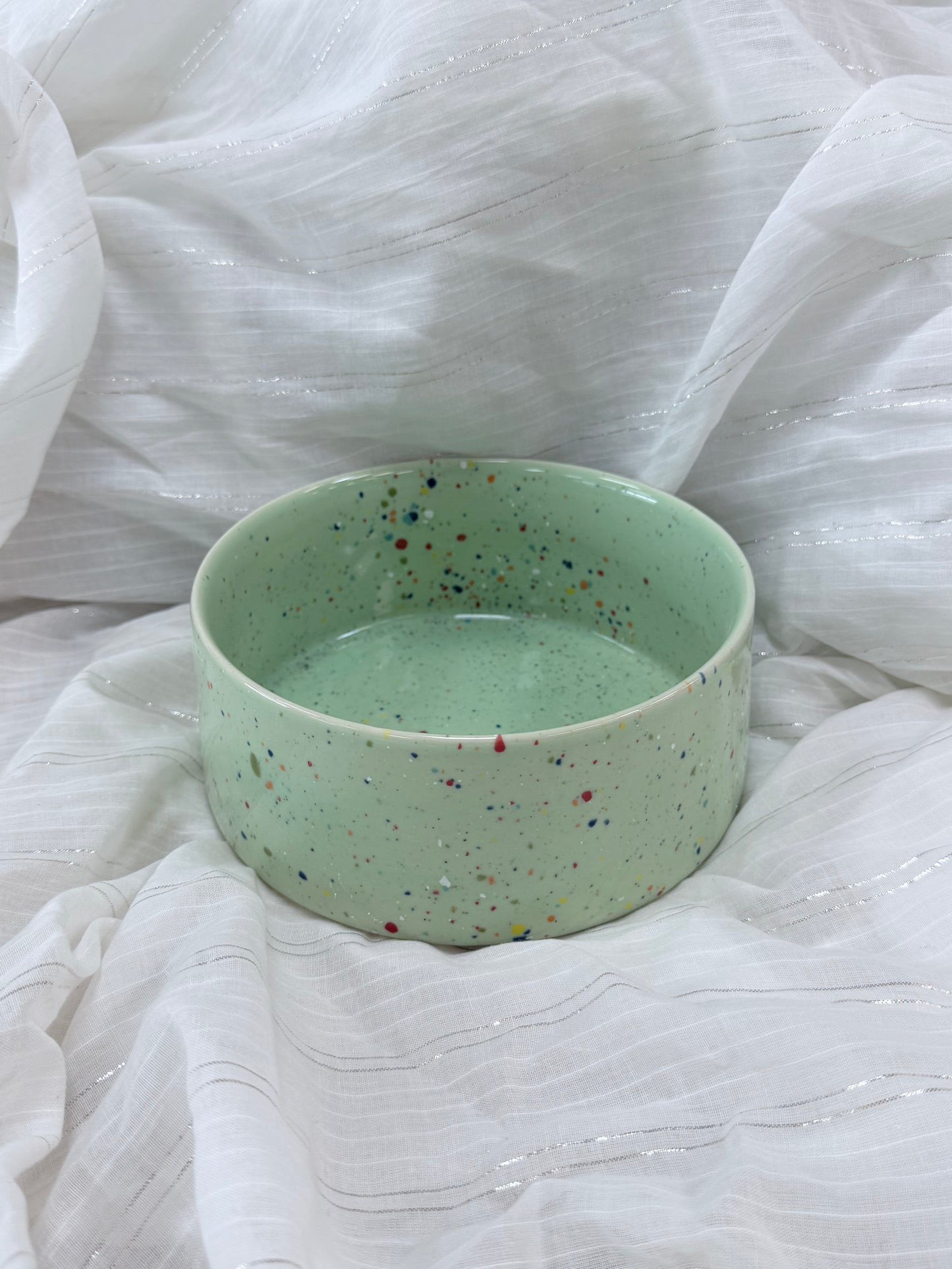 Egg Back Home｜Pet Bowl New Party Series（5 colors）