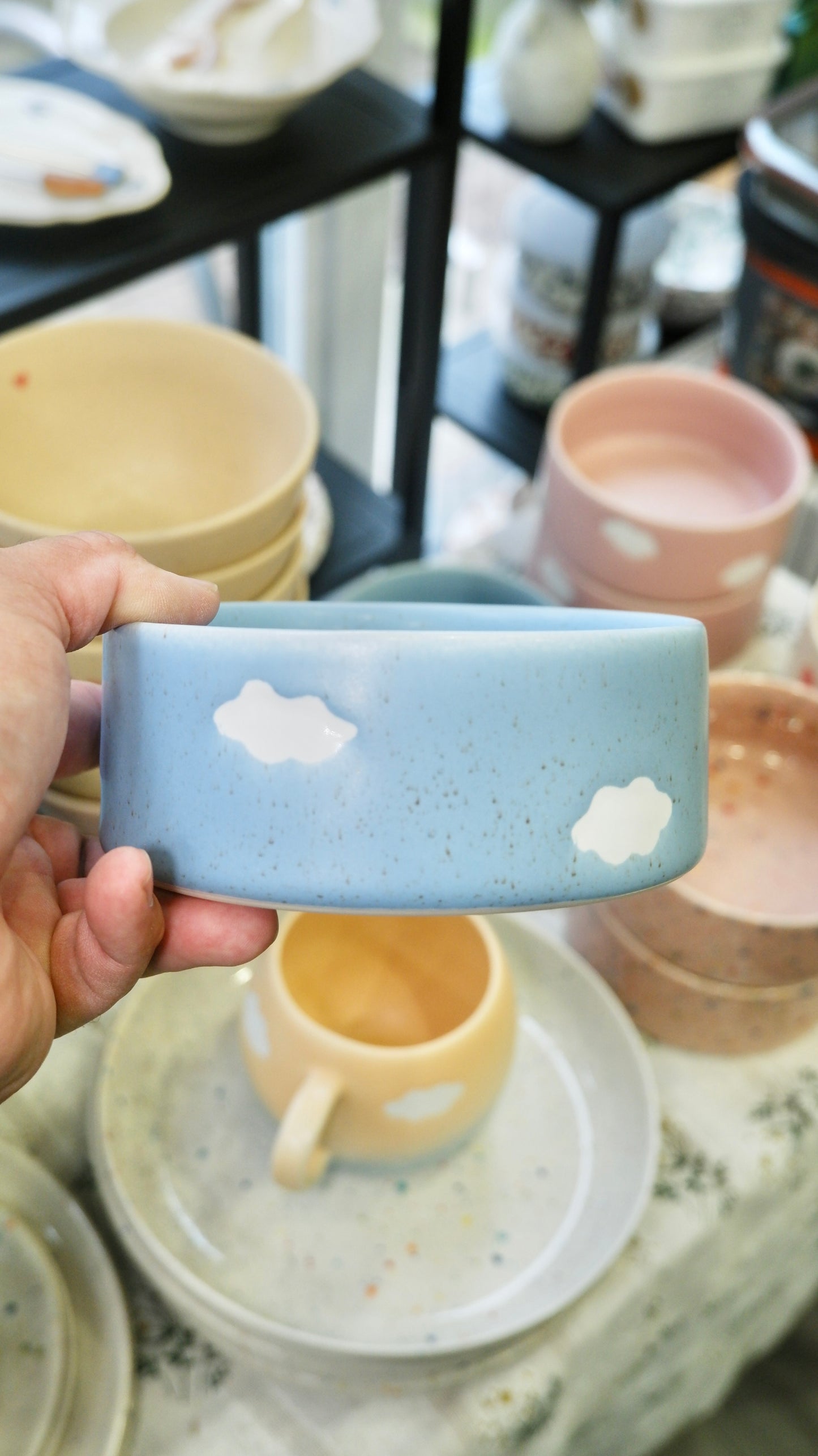 Egg Back Home｜Pet Bowl Blue Cloud