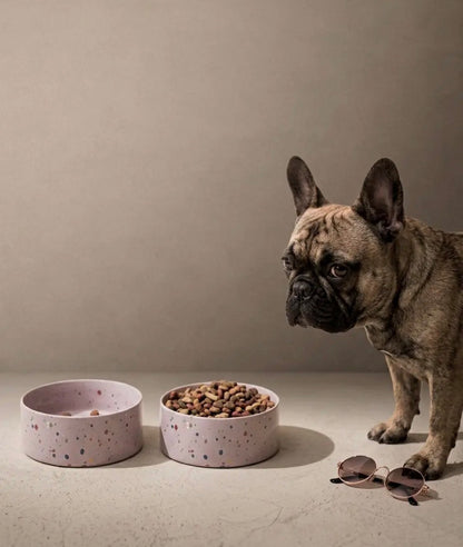 Egg Back Home｜Pet Bowl New Party Series（5 colors）
