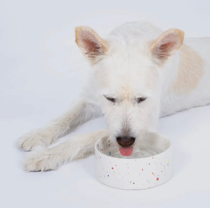 Egg Back Home｜Gamelle pour animaux New Party White