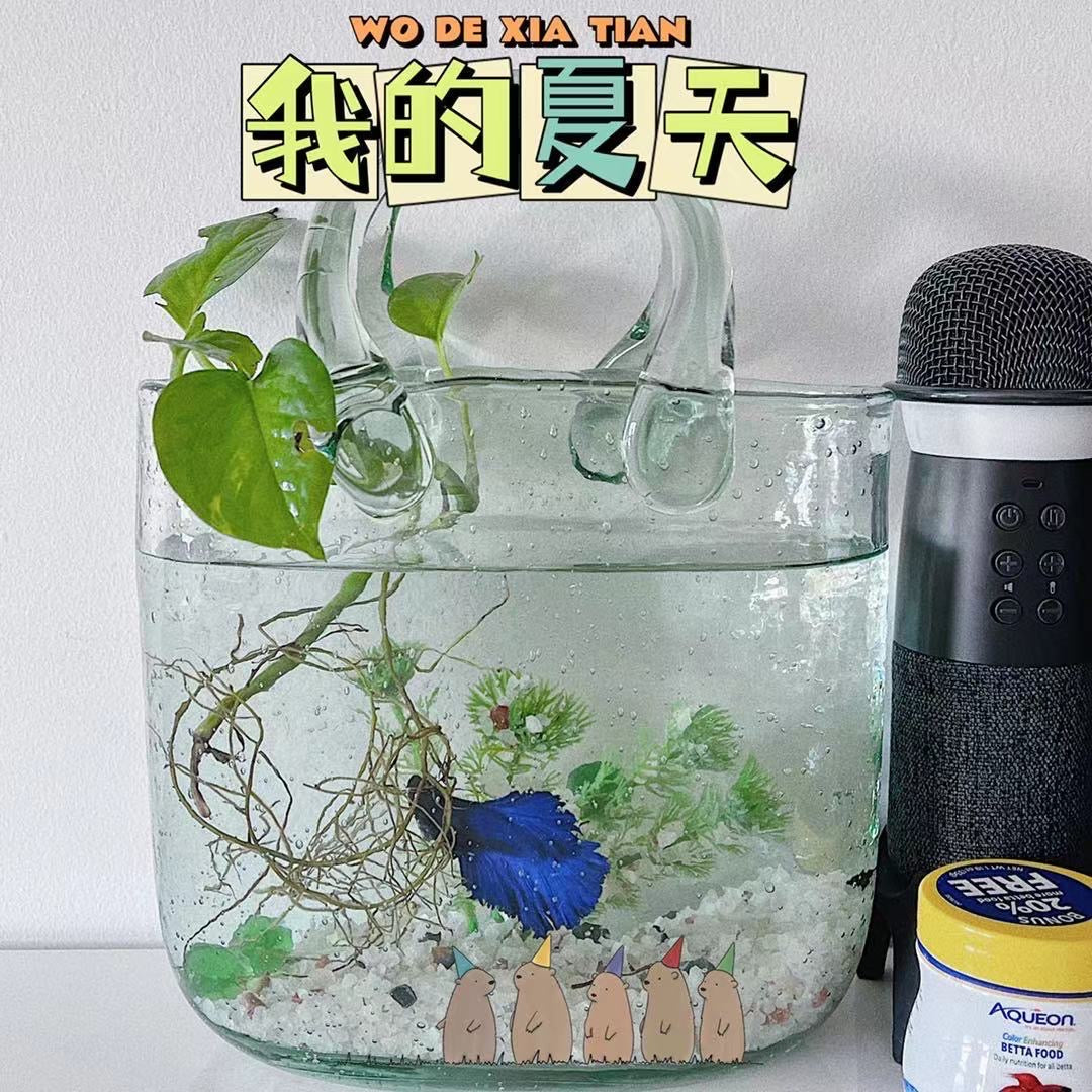 Glass Vase - Bubble Bag Style