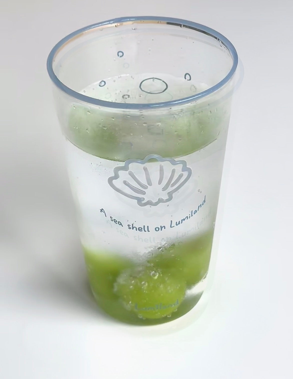 Lumiland｜Verre Haut Coquillage（2 Couleurs）