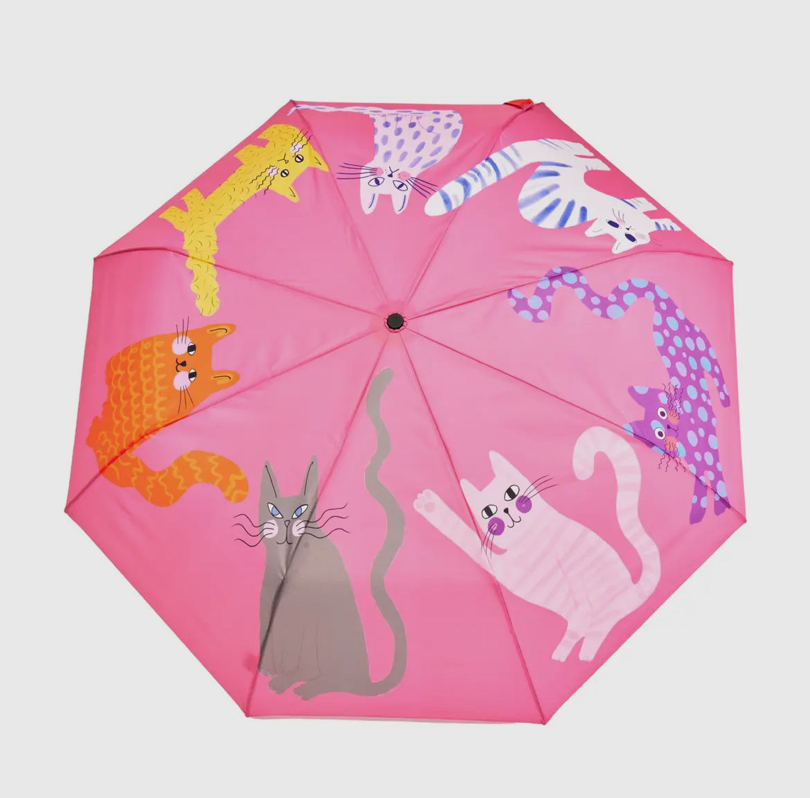 Original Duckhead Umbrella - Cat