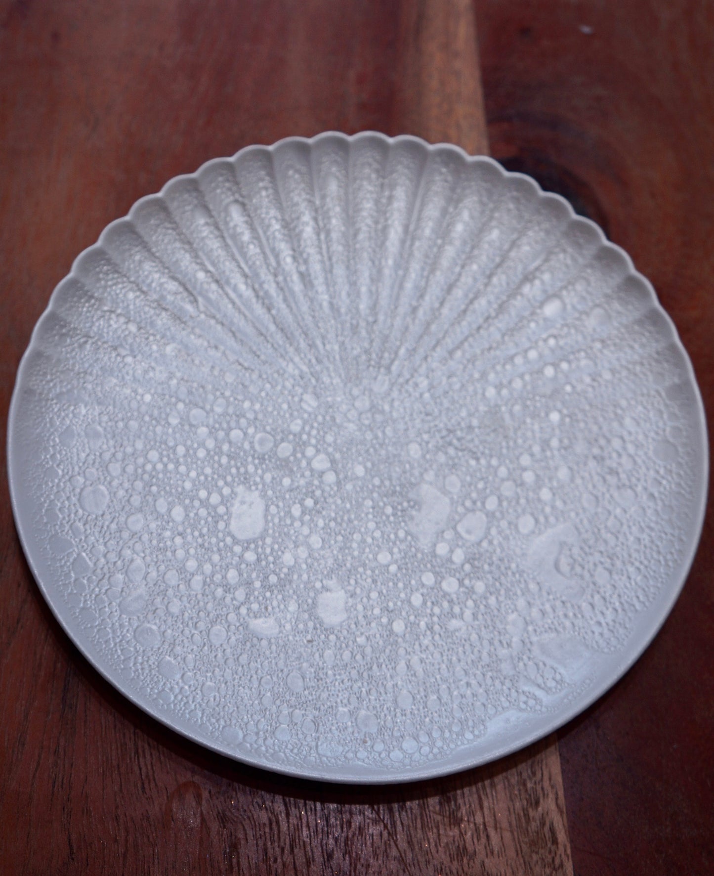 Arita Ware | White Pearl Bubble Pattern Plate - Round Plate