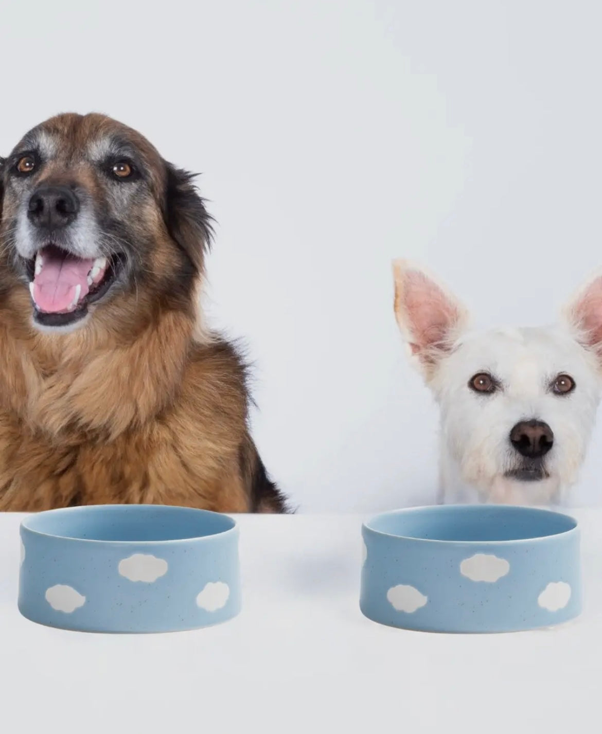 Egg Back Home｜Pet Bowl Blue Cloud