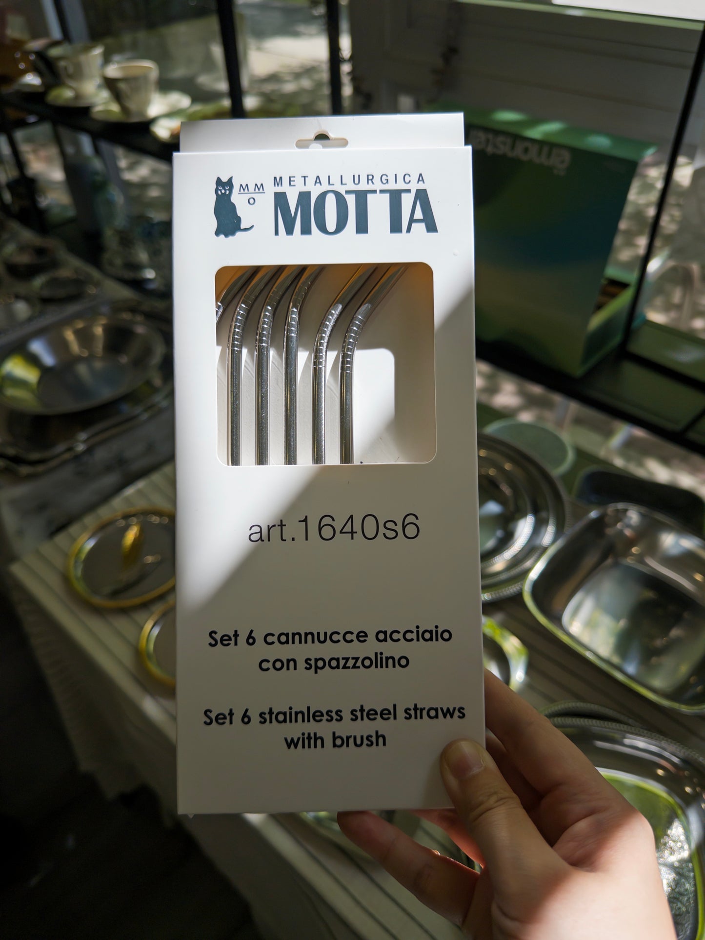 Motta | Paille en inox avec brosse