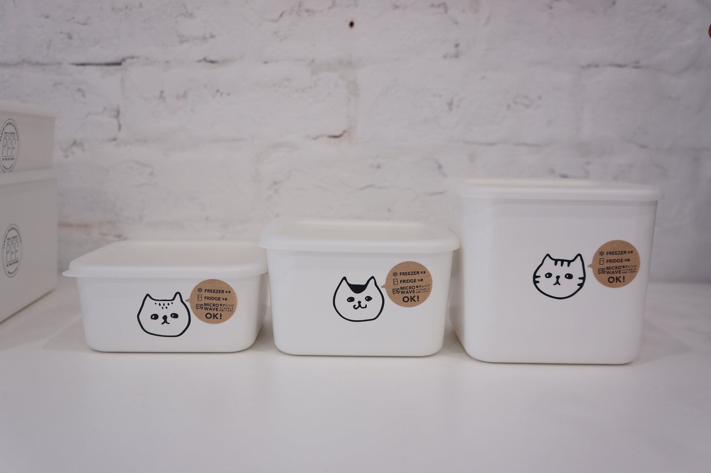 Japanese Storage Box | Cat Series | Large Square Box