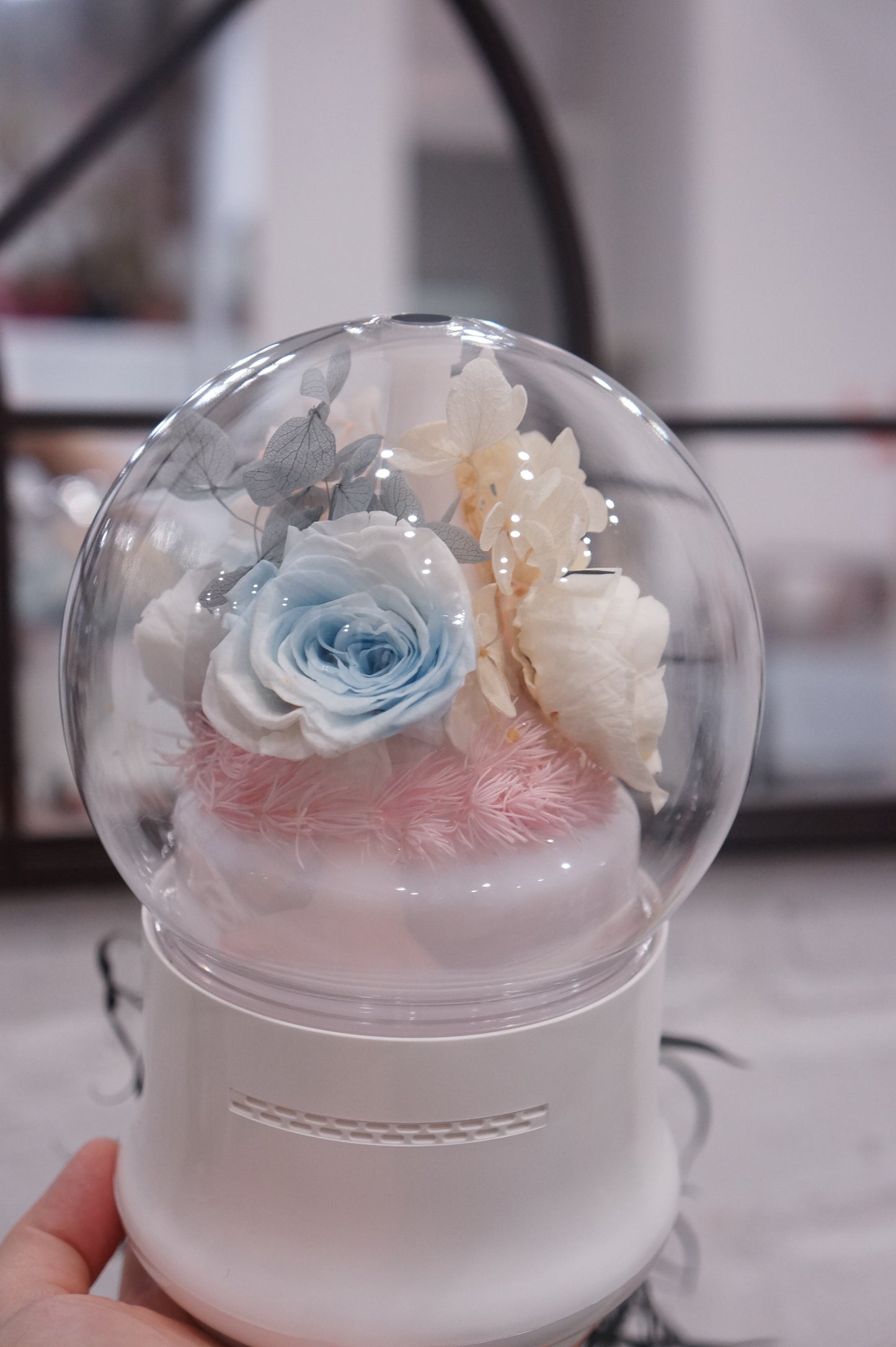 Dried & Preserved Flower Home Diffuser & Light