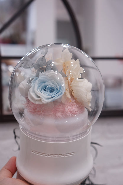 Dried & Preserved Flower Home Diffuser & Light