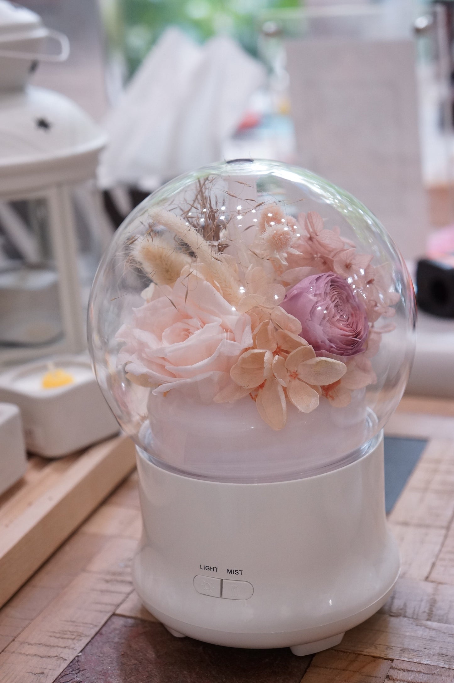 Dried & Preserved Flower Home Diffuser & Light