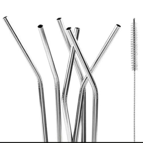 Motta | Stainless Straw with Brush
