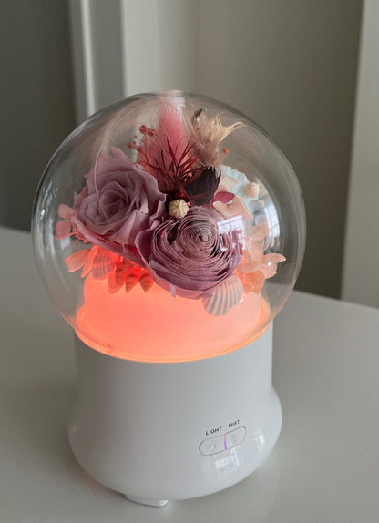 Dried & Preserved Flower Home Diffuser & Light