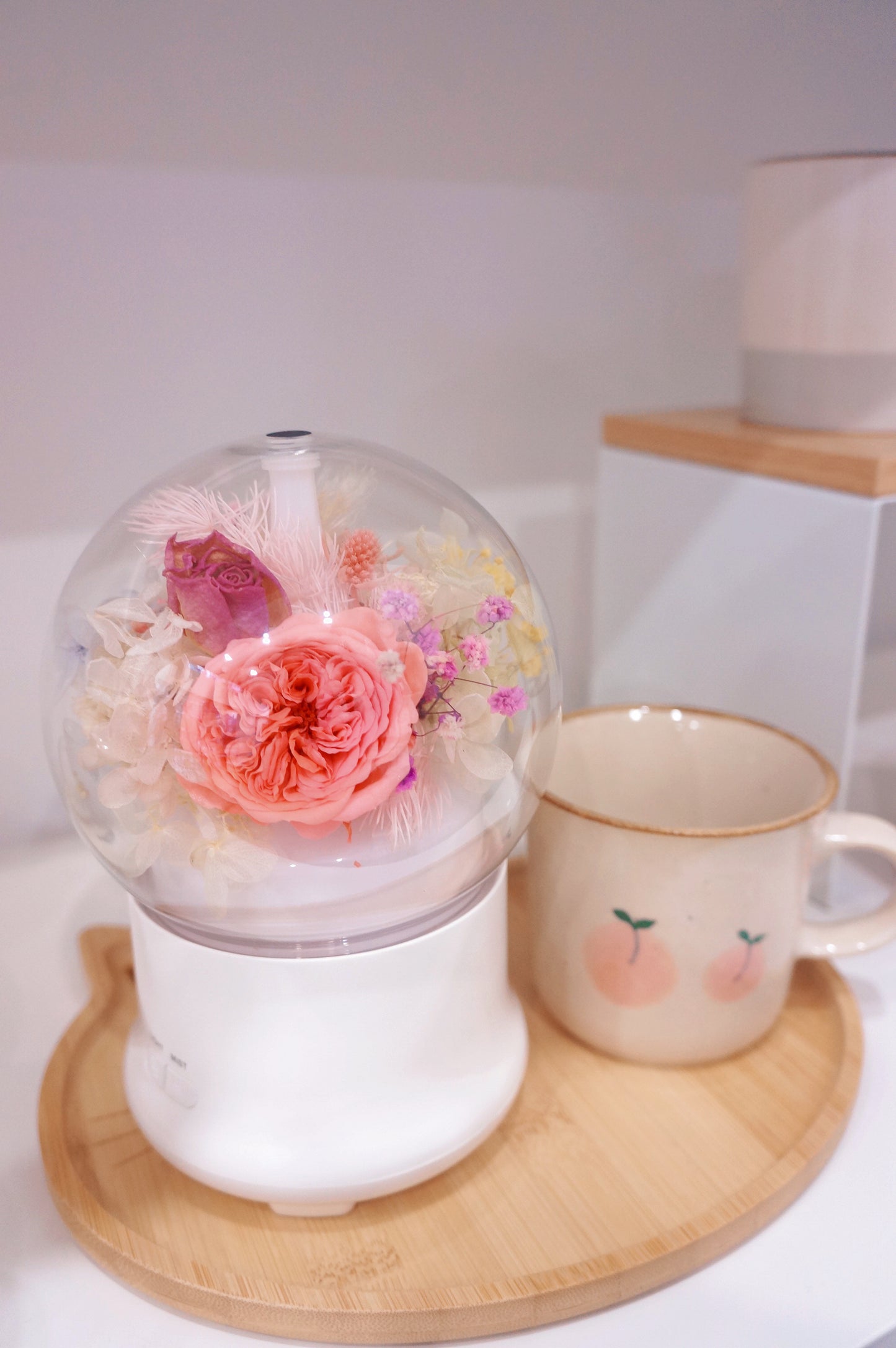 Dried & Preserved Flower Home Diffuser & Light